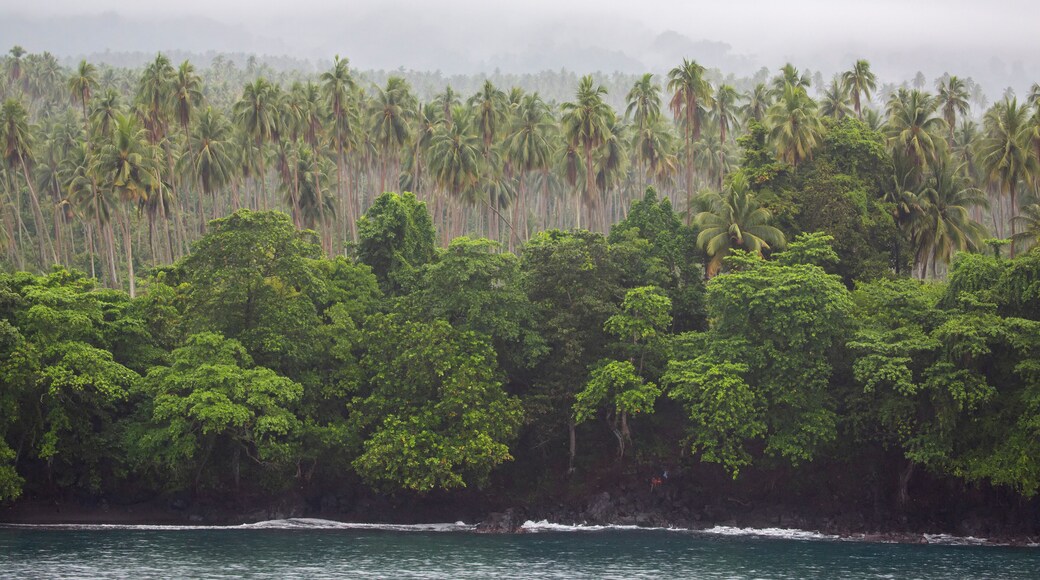 Islanders on the rocky shore of tropical trees with cocoa plantation on Karkar Island in the Bismarck Sea off the north coast of Papua New Guinea; Karkar, Madang, Papua New Guinea