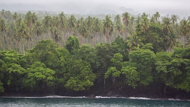 Islanders on the rocky shore of tropical trees with cocoa plantation on Karkar Island in the Bismarck Sea off the north coast of Papua New Guinea; Karkar, Madang, Papua New Guinea