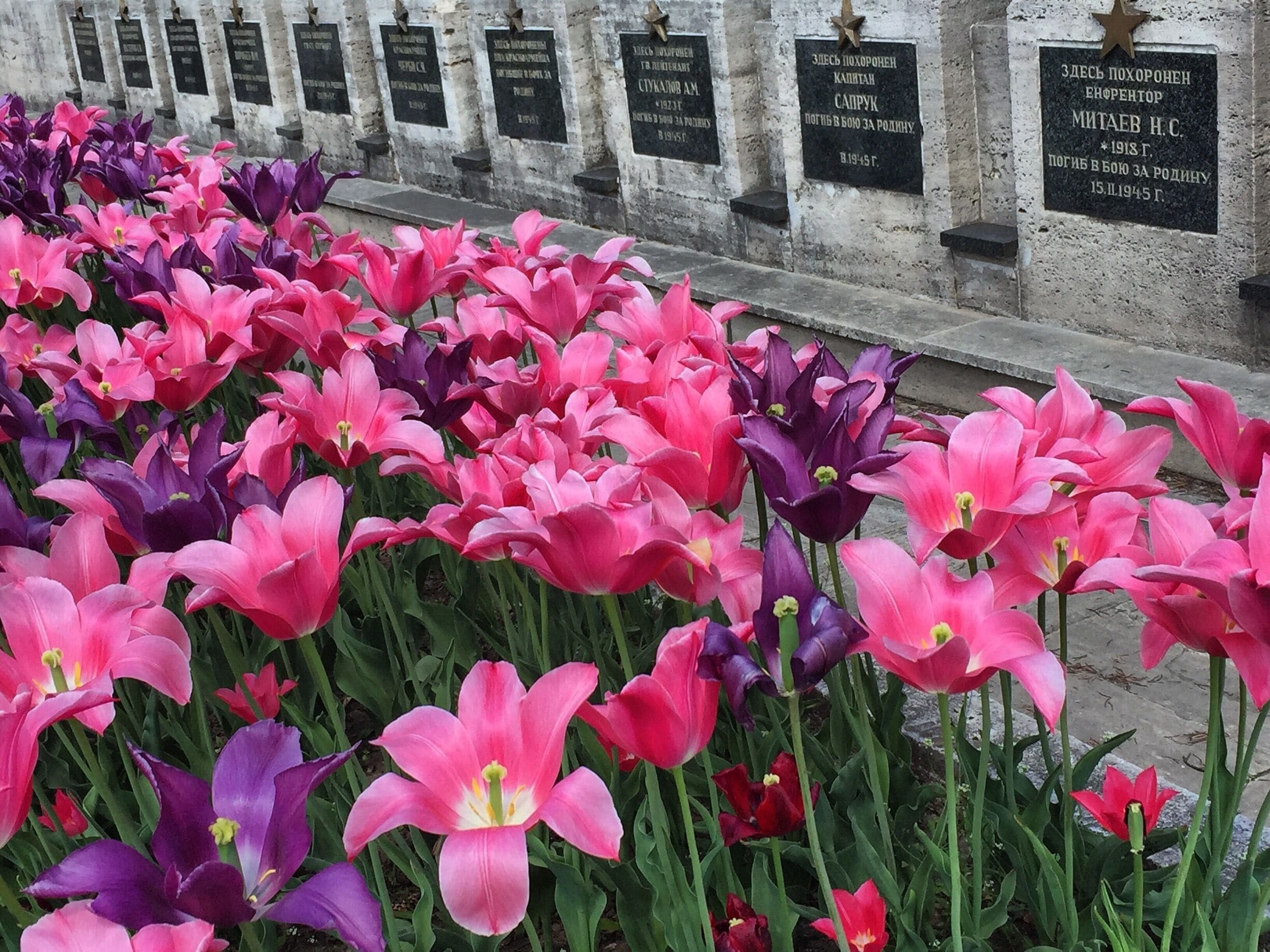 I was surprised to see a memorial with names written in Cyrillic, since Slovakia has long since moved on from the days of Soviet support.