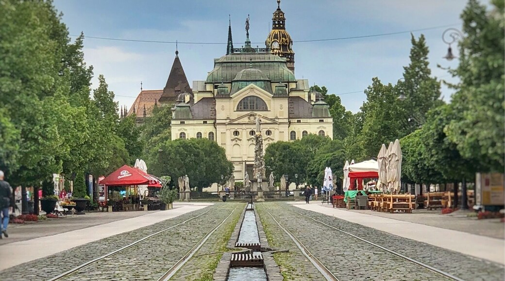 Such a beautiful Slovakian city- the Main Street is just gorgeous- churches stunning