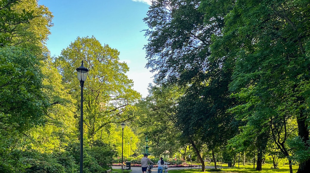 Stadsträdgården Park in Karlstad Sweden with Lush Greenery