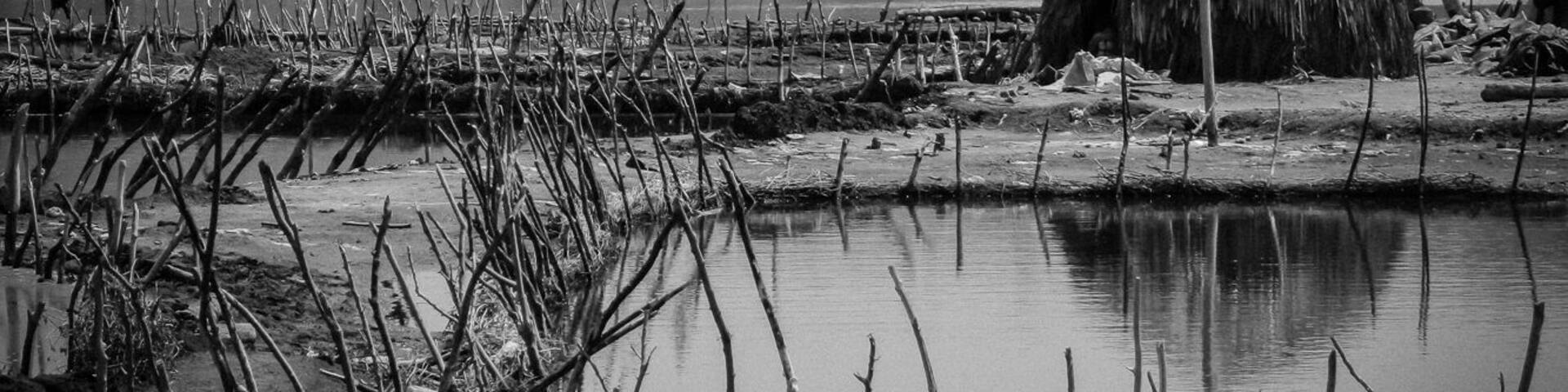 A thatched hut by a calm water body with reeds in the foreground and a hilly landscape in the background.