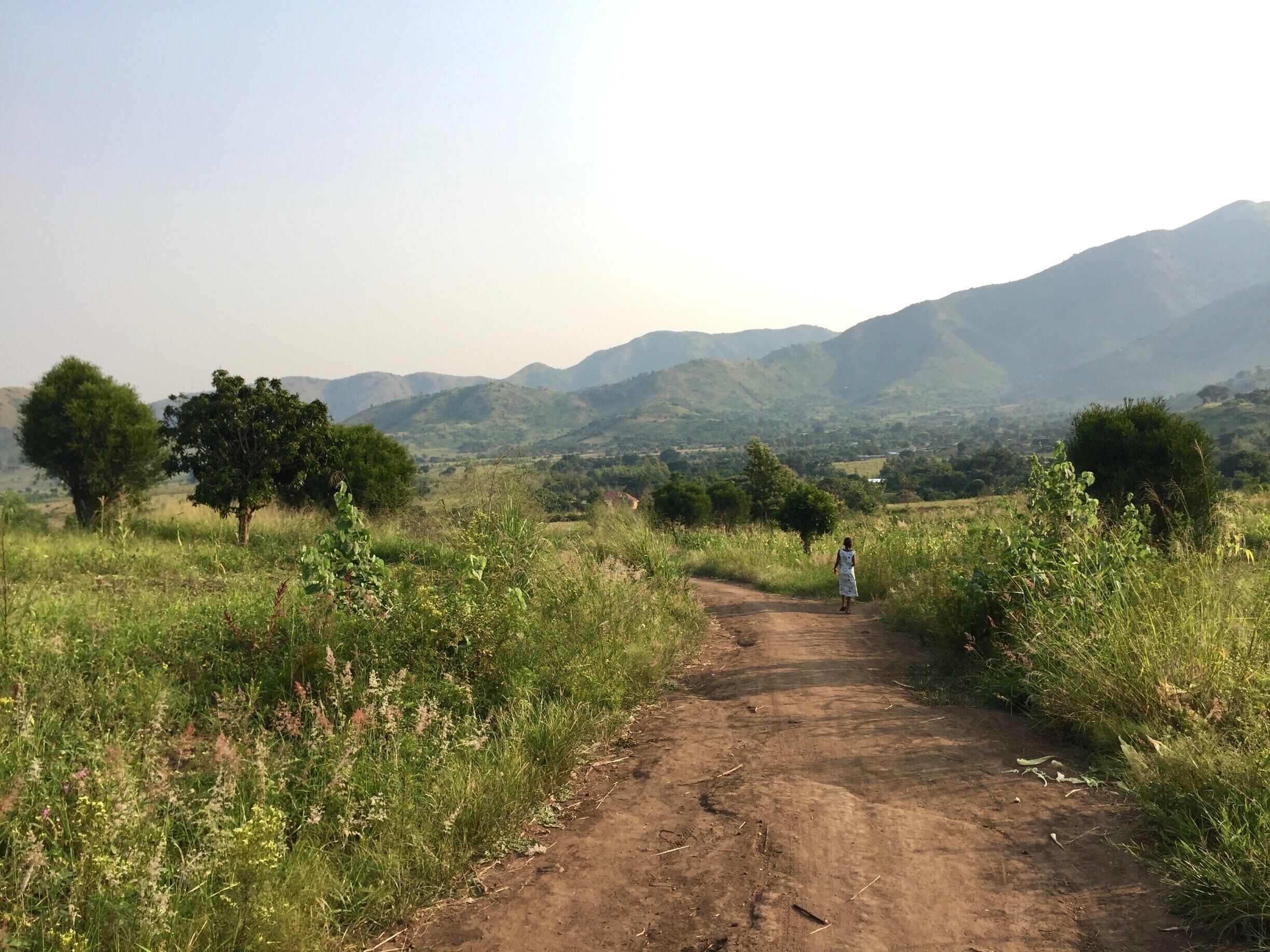 Uganda is one of the most beautiful countries I have ever been to. This is in a village near Kasese, in the southwestern part of the country. #green 