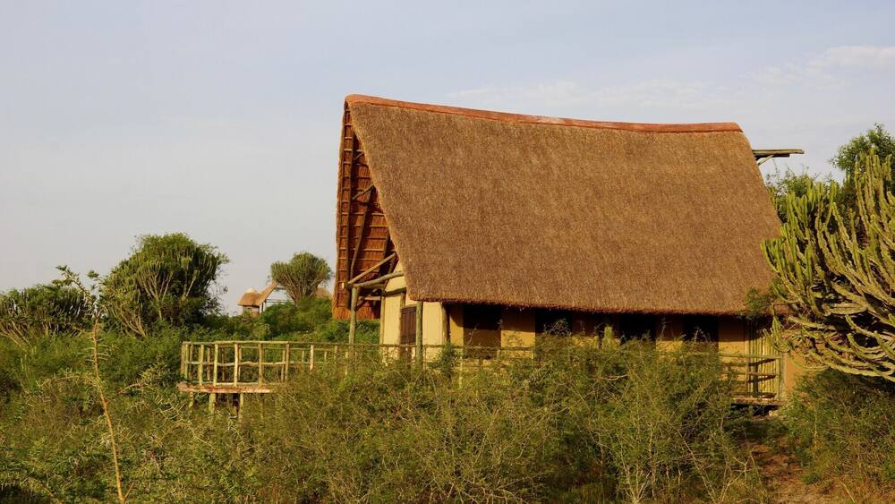 Had an incredible stay here at Kasenyi Safari Camp in Queen Elizabeth National Park. You are constantly surrounded by wildlife and can hear the hippos, lions, and other animals right outside your room at night.