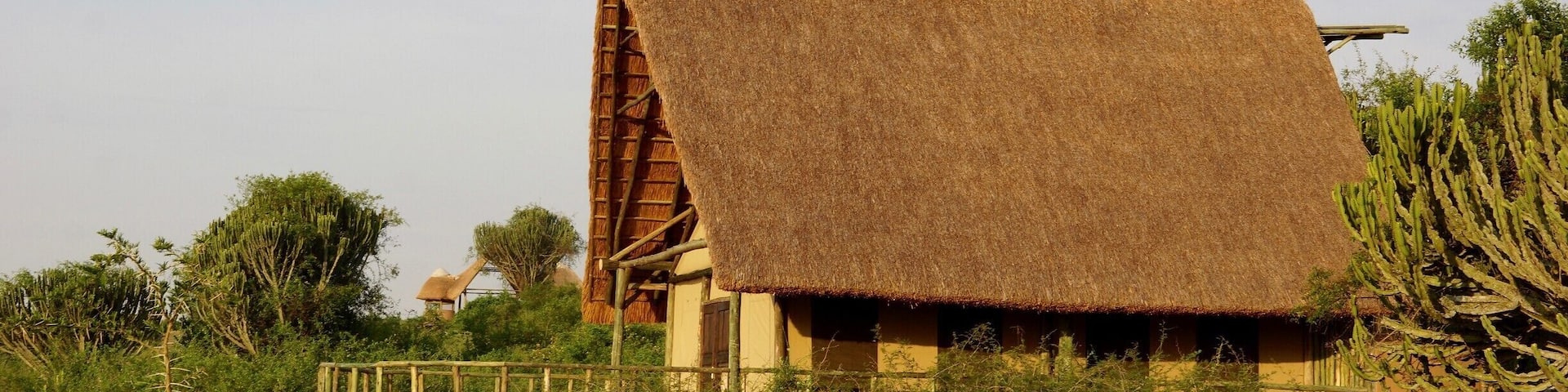 Had an incredible stay here at Kasenyi Safari Camp in Queen Elizabeth National Park. You are constantly surrounded by wildlife and can hear the hippos, lions, and other animals right outside your room at night.