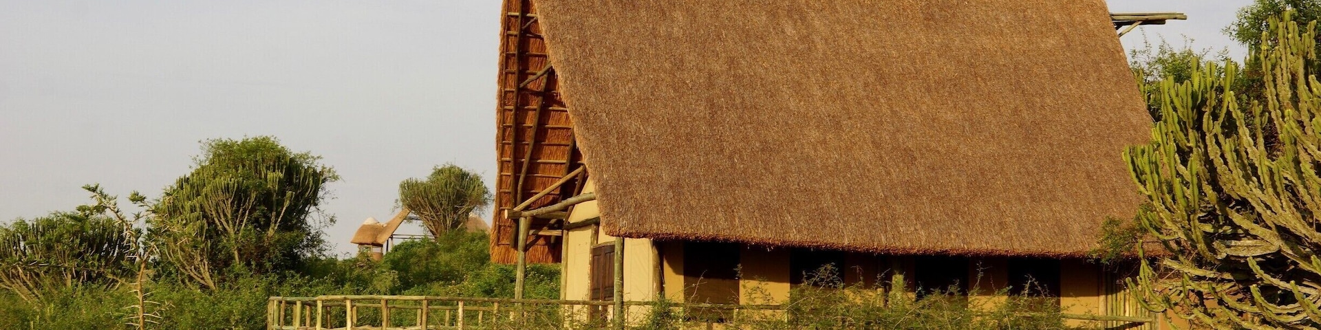 Had an incredible stay here at Kasenyi Safari Camp in Queen Elizabeth National Park. You are constantly surrounded by wildlife and can hear the hippos, lions, and other animals right outside your room at night.