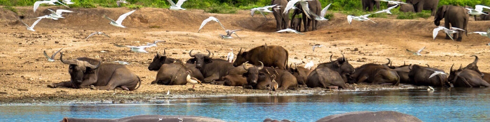 #sunset boat #safari on the Kazinga Channel in #Uganda far exceeded my expectations. I didn't know where to look what to shoot. #Africa #River
