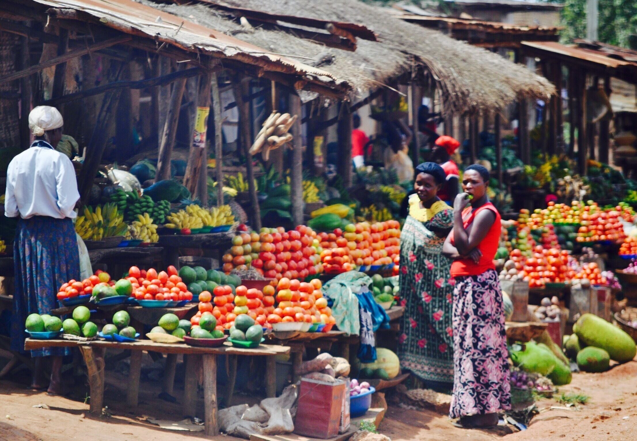 On the way to trek the mountain in search of gorillas my partner had to stop to take a pic and sample the produce of this fruit and veg stall, south west of Kasese, Uganda, which was just bursting with colour! 
Organic. No pesticides. Just fresh whole foods.
#delicious
