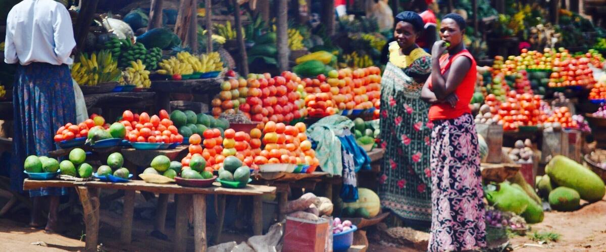 On the way to trek the mountain in search of gorillas my partner had to stop to take a pic and sample the produce of this fruit and veg stall, south west of Kasese, Uganda, which was just bursting with colour!
Organic. No pesticides. Just fresh whole foods.
#delicious