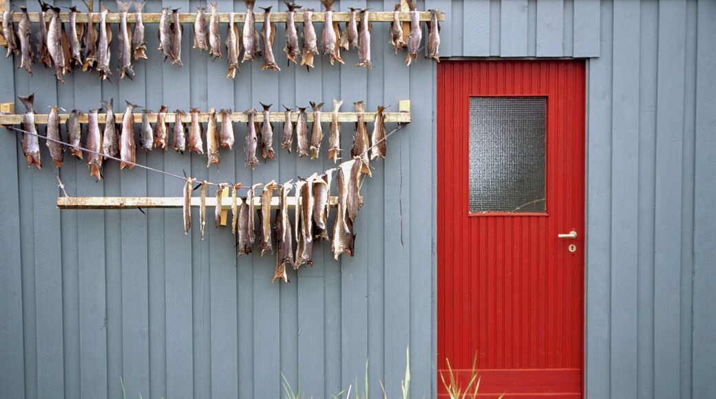 Fish drying on a house, Grip Island, Norway