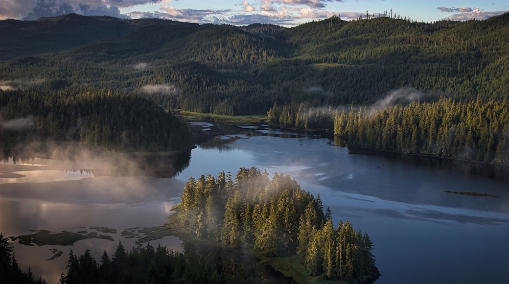 Fog drifts over a secluded estuary and the Thorne River on Prince of Wales Island in Southeast Alaska; Alaska, United States of America