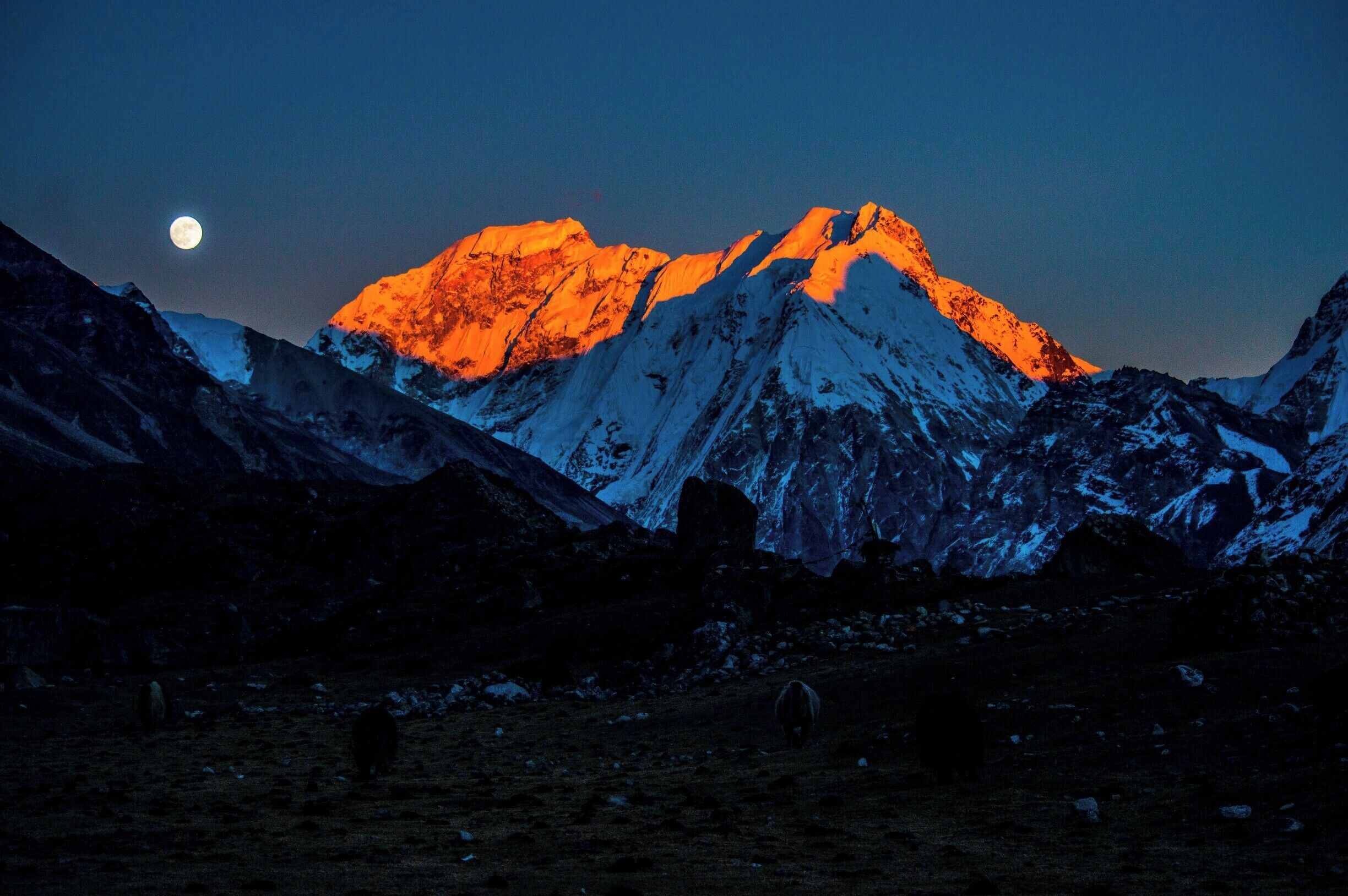 7 nights 8 days Gosaikunda Helambu Trekking at USD 450 for budget trekkers staying on tea house lodges. We have been running Gosaikunda Helambu Trek 8 days fixed departure group trek to Helambu Gosaikunda joining on a group our fixed departure 2017, 2018.
http://www.missionecotrek.com/gosaikunda-helambu-trek-8-days.html