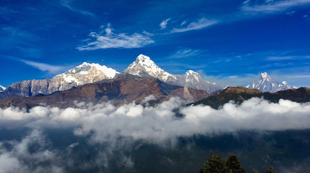 Views from the top of Poon Hill, Nepal.