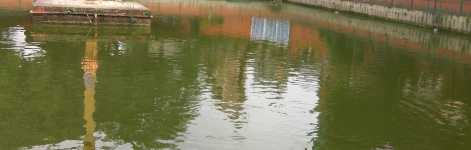 Naagpokhari