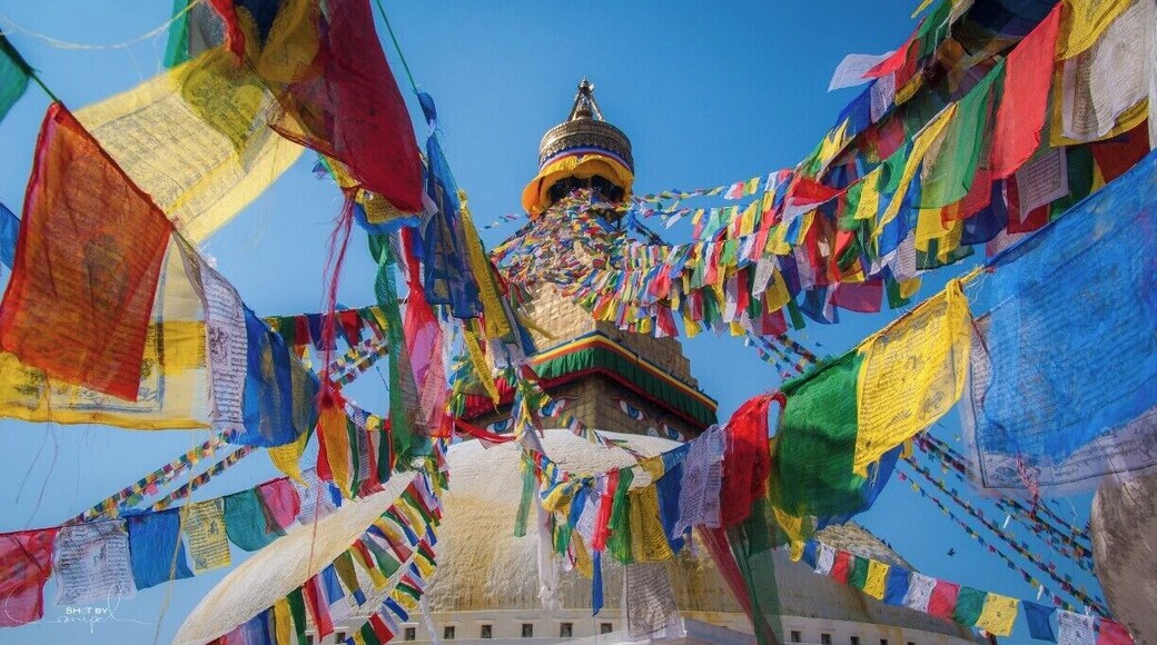 Visit the beautiful Bouddhanath stupa in Kathmandu and try to count all the prayer flags :)
#colorful #nepal