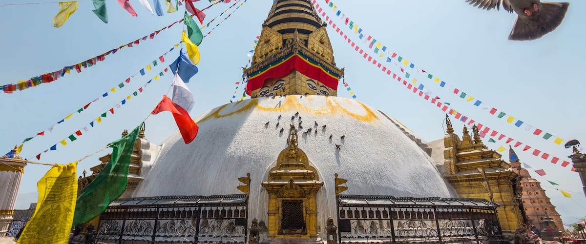 The Monkey Temple in Kathmandu is truly astonishing
•
•
•
#landscape #kathmandu #temple #photography #asia #photo #nepal #stupa #travel #travelphotography