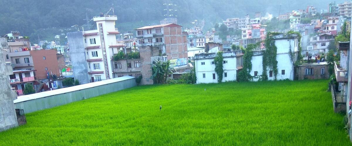 A open Field in a crowded city