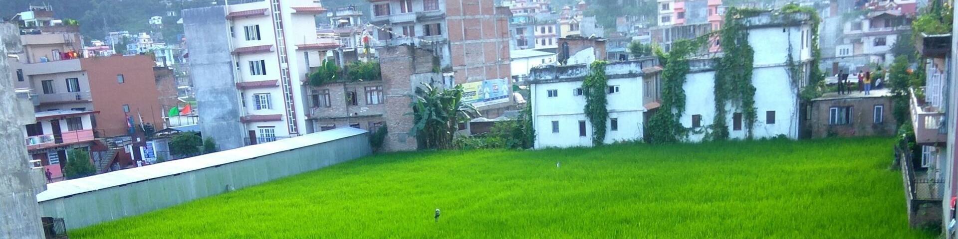 A open Field in a crowded city