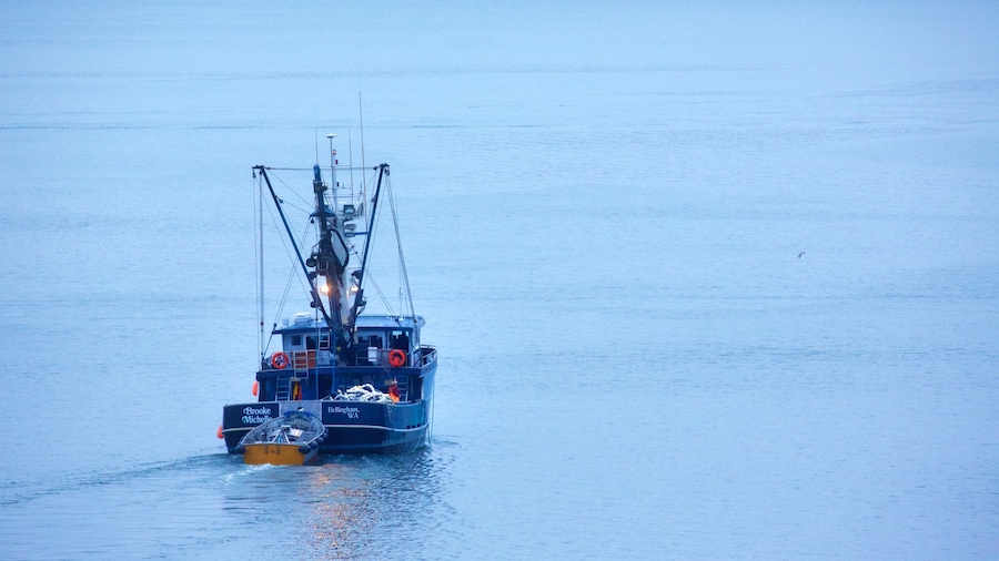 Ketchikan showing boating and a river or creek