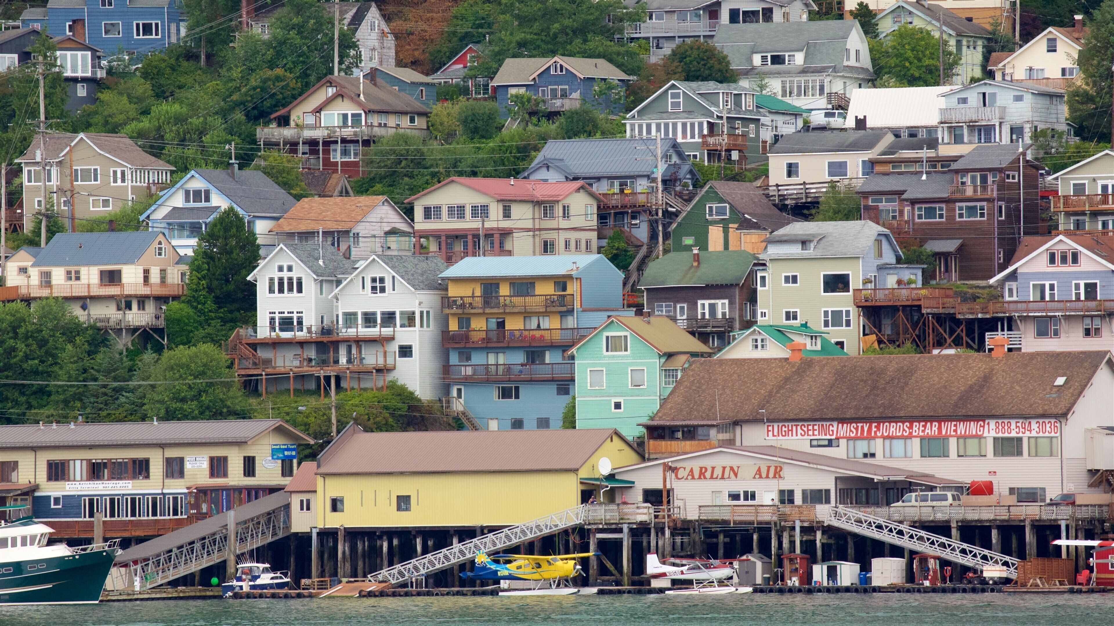 A coastal town with colorful houses and a dock with boats and a small airplane.