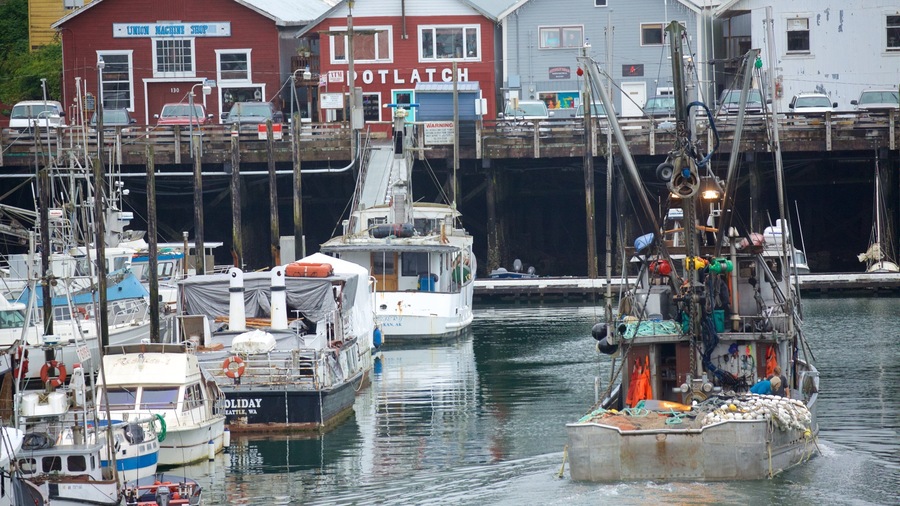 Ketchikan which includes boating and a bay or harbor