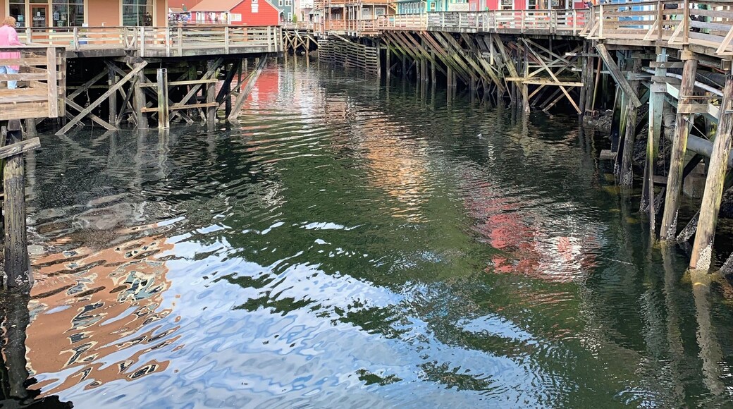 Creek street #adventure