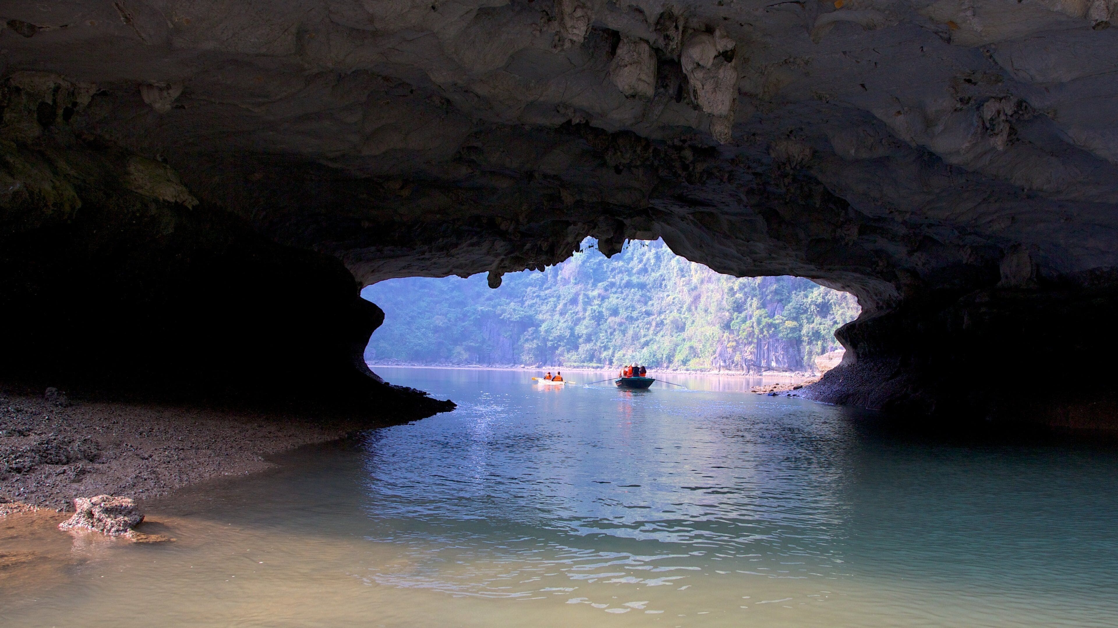 Vietnam showing general coastal views, a bay or harbour and caves