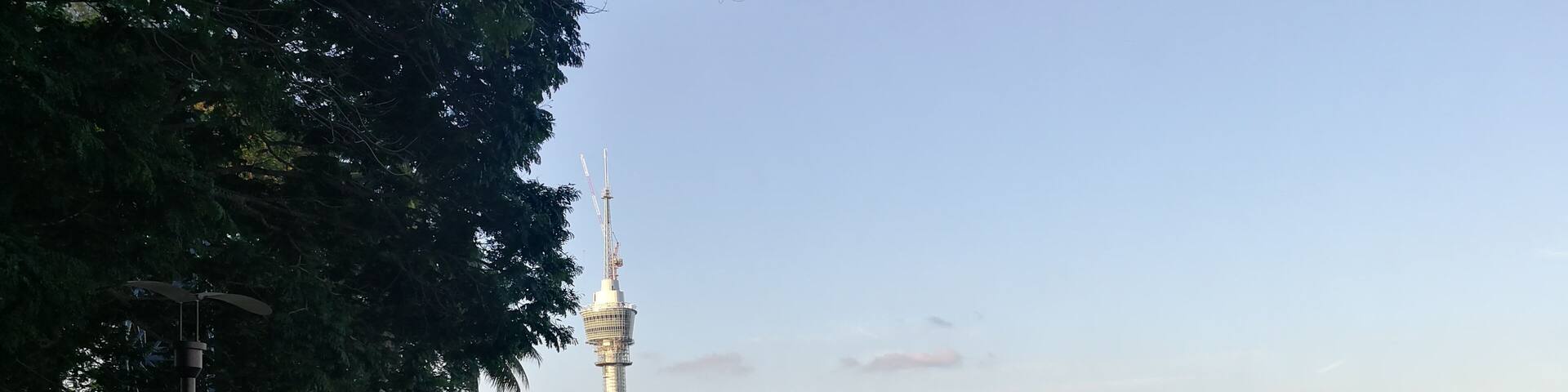 A riverside walkway with a tall tower in the background.