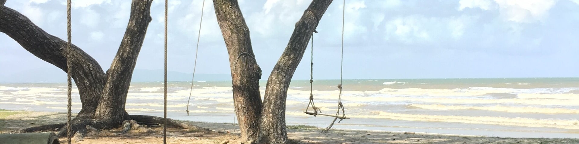 Beach with cool looking trees.