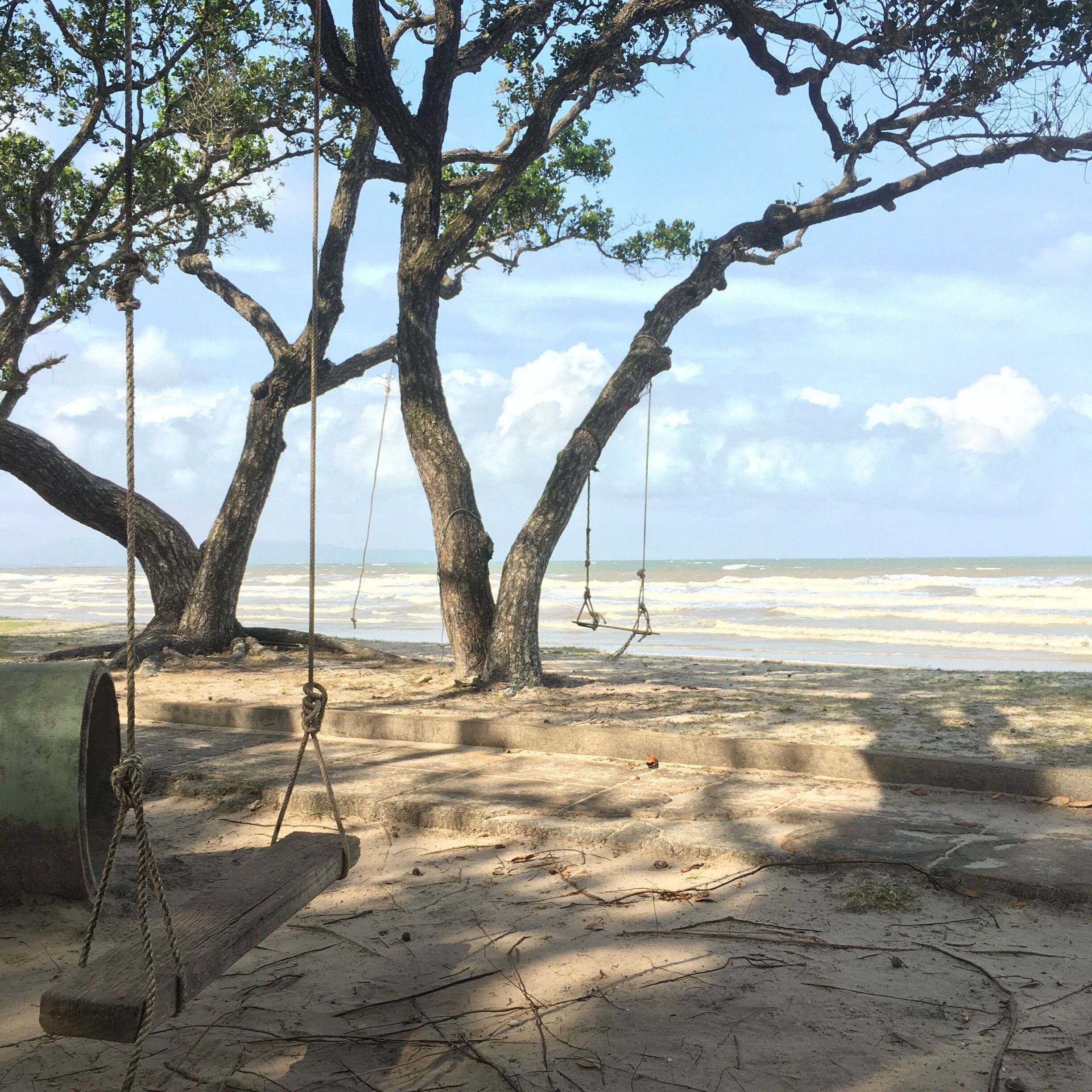 A beach with a swing set under a large tree.