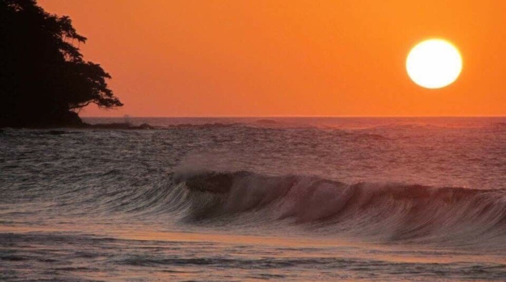 Dreamy sunset. #waterlust