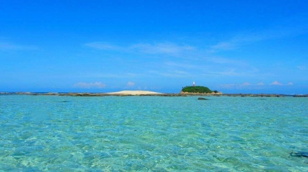 Snake Island #waterlust