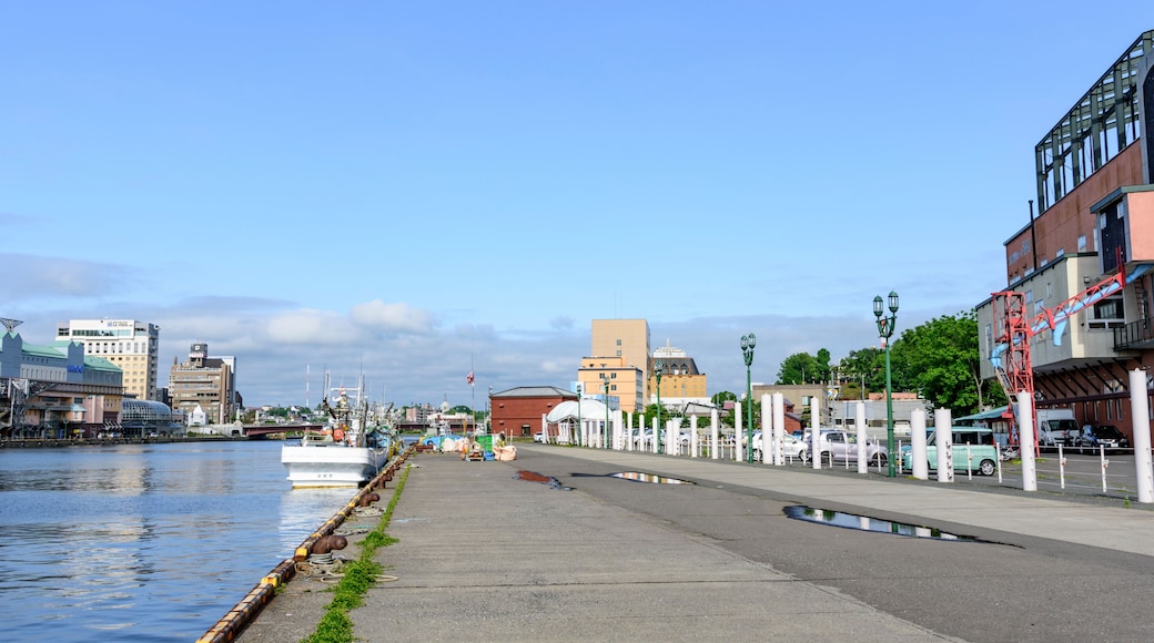 釧路 幣舞橋(ぬさまいばし)付近