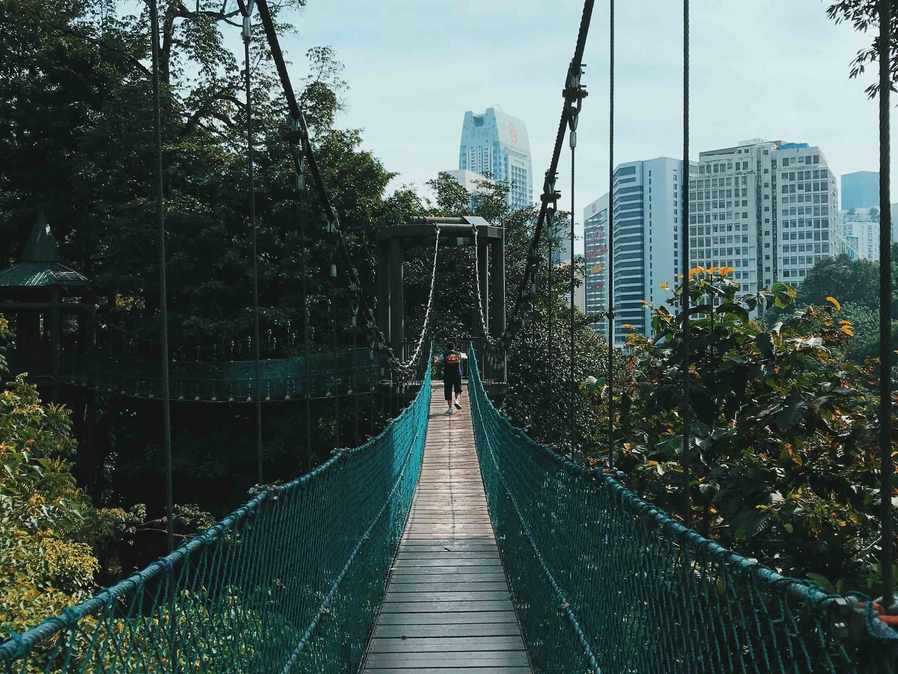 This lush of green in the middle of the concrete jungle is amazing. There are 2 routes which you can take:

Route 1: Enter the bridge, go down the towers and then climb uphill back to main entrance.

Route 2: Walk straight until you see the tower, climb up, walk across the bridge and climb up more towers, end at the last bridge.

You’ll get a good walkout with either one of the routes.

#Malaysia