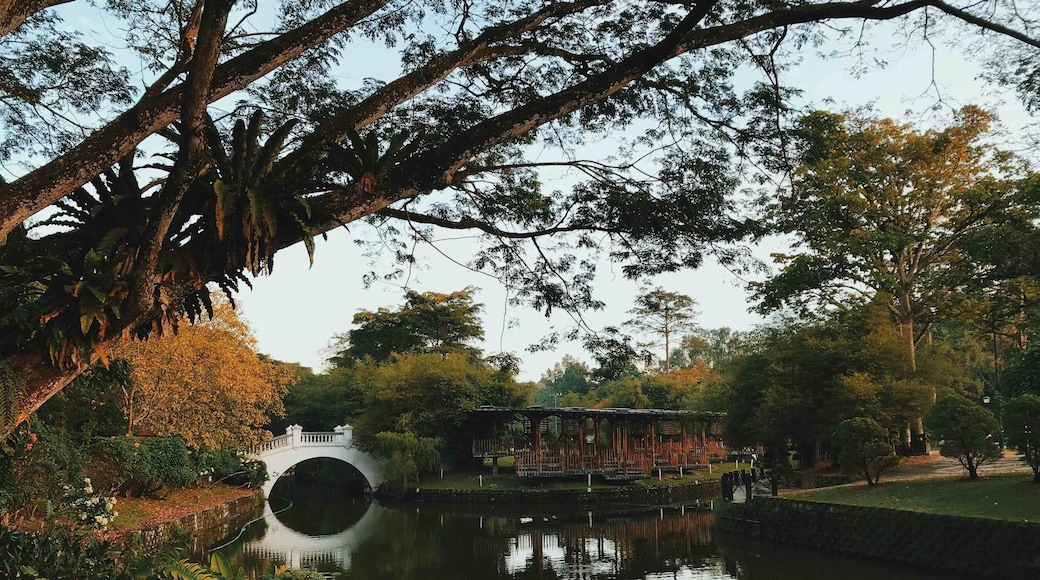 A nice place to jog, run, walk, cycle, do yoga and enjoy nature. There’s a mini herb garden, a rainbow tree, a small waterfall, and this amazing view of the lake with the Bamboo House. While most just see it as a park, I saw something dreamy & magical.
#kualalumpur #malaysia #parks #Perspectives