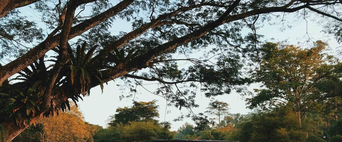 A nice place to jog, run, walk, cycle, do yoga and enjoy nature. There’s a mini herb garden, a rainbow tree, a small waterfall, and this amazing view of the lake with the Bamboo House. While most just see it as a park, I saw something dreamy & magical. 
#kualalumpur #malaysia #parks #Perspectives