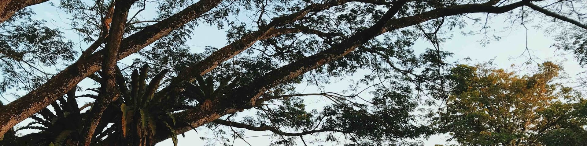 A nice place to jog, run, walk, cycle, do yoga and enjoy nature. There’s a mini herb garden, a rainbow tree, a small waterfall, and this amazing view of the lake with the Bamboo House. While most just see it as a park, I saw something dreamy & magical.
#kualalumpur #malaysia #parks #Perspectives