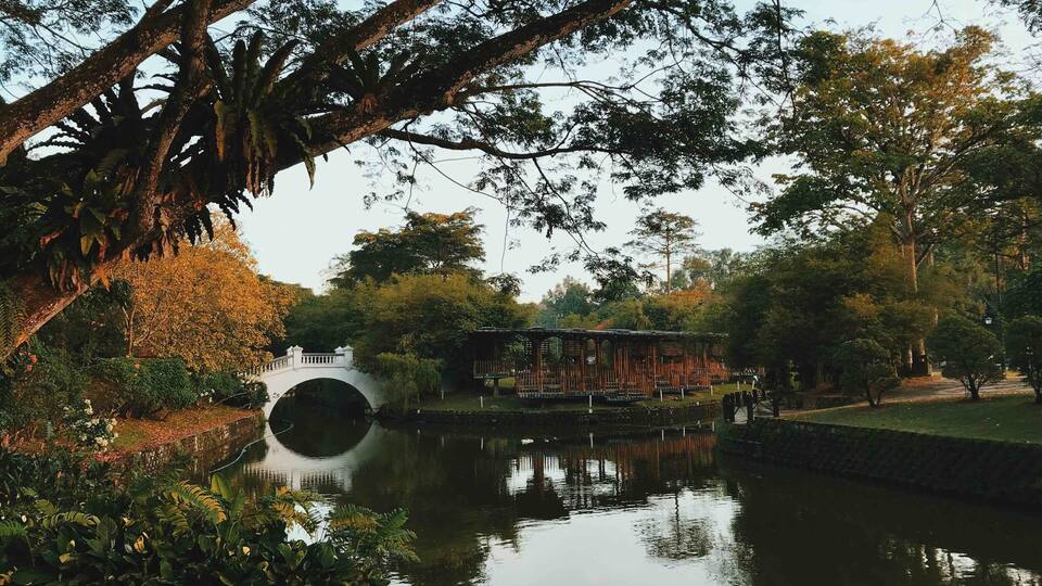 A serene park with a pond, a bridge, and a pavilion.