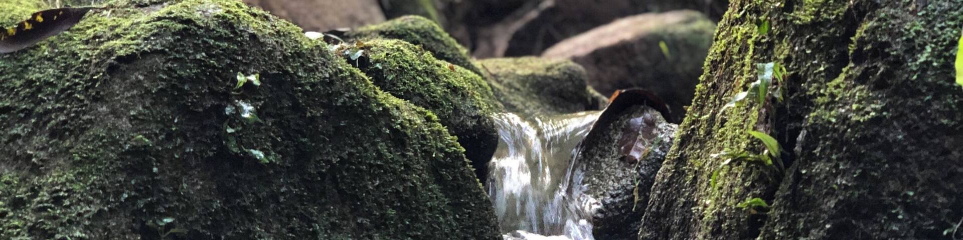 A quick escapade and relaxing walk/ jog in this little forest in the city. Opens till late 10pm