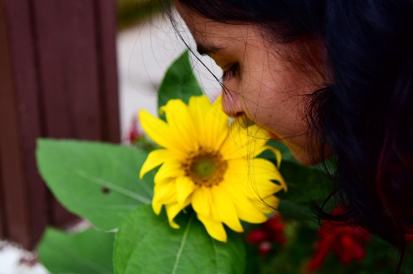Peace ... Earth smiles in flowers 🤗❤️#flowers#nature#naturelover#photography