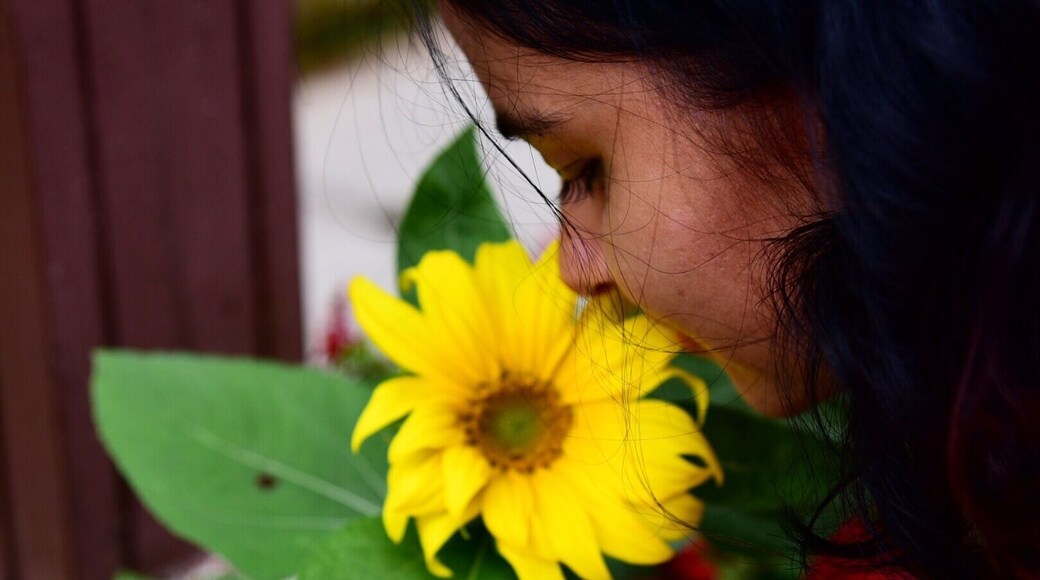Peace ... Earth smiles in flowers 🤗❤️#flowers#nature#naturelover#photography