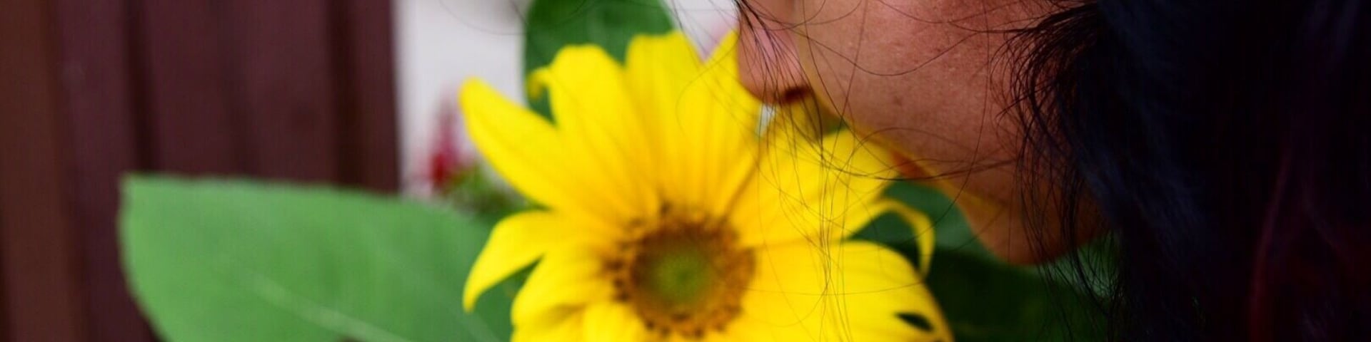 Peace ... Earth smiles in flowers 🤗❤️#flowers#nature#naturelover#photography