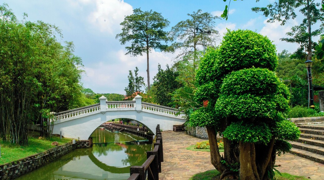 The gardens where not easy to find (I'm a bad map reader) but was definitely worth visiting. It is close to the Bird Park which is another location you should visit when you come to Kuala Lumpur. #KualaLumpur #Malaysia #Perdana Botanical Gardens