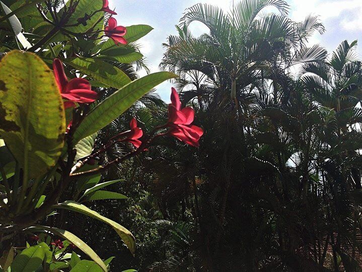 Beautiful tropical gardens in the centre of Kuala Lumpur with lots of shade if it gets too hot!
