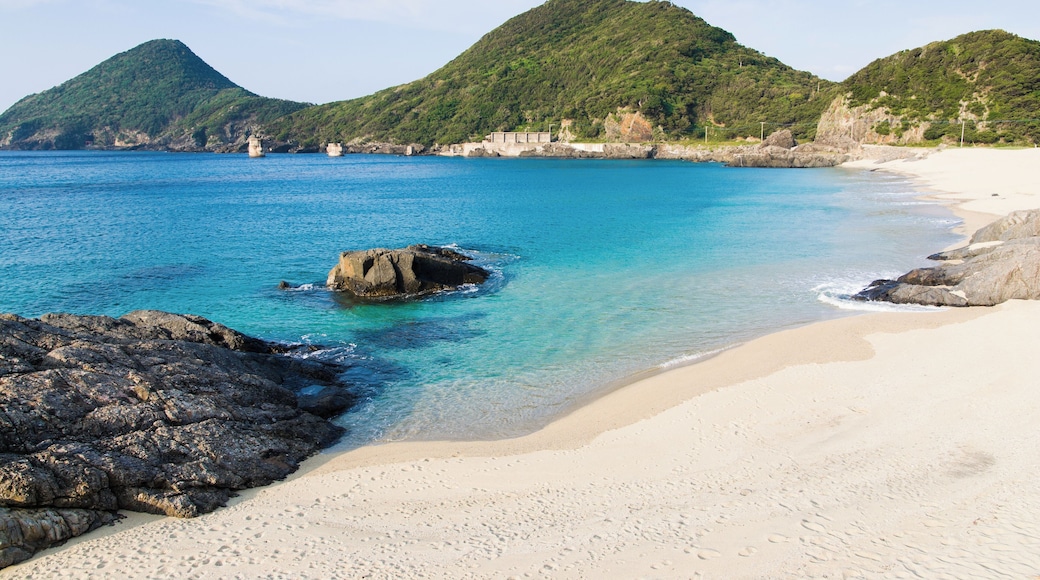 ์ผ์ฟ ์๋ง์ด