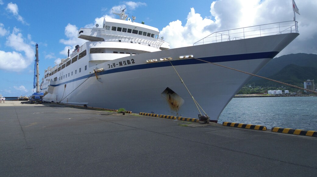 Ferry Yakushima 2 operating between Kagoshima and Yakushima, at the Port of Miyanoura, Yakushima
