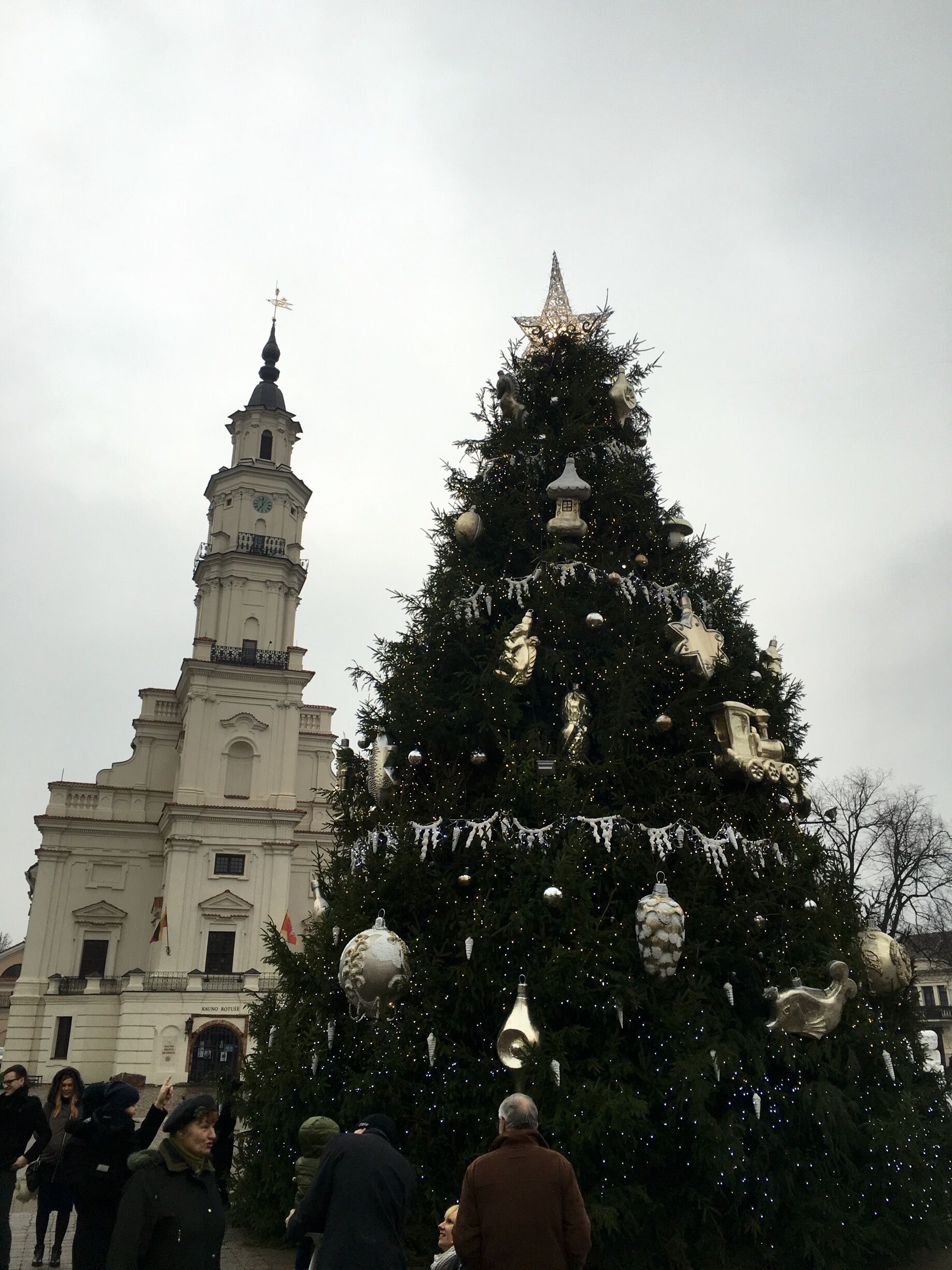 Christmas tree 2015 in Kaunas