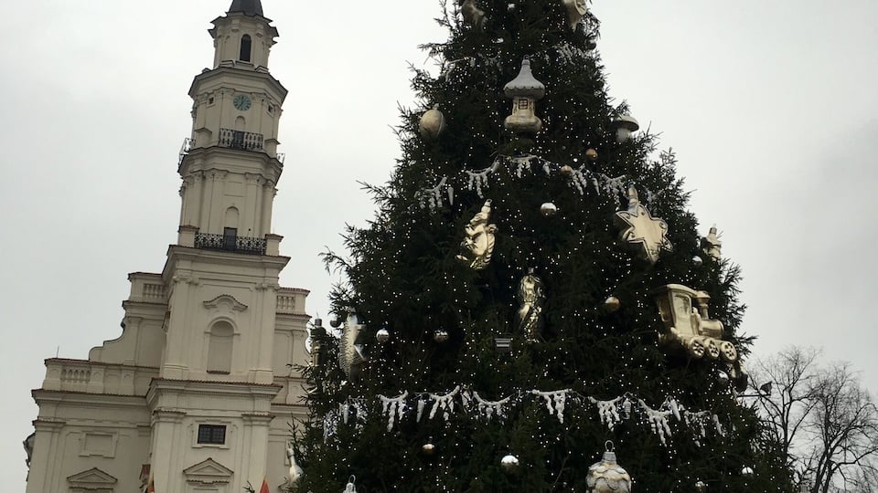 Christmas tree 2015 in Kaunas
