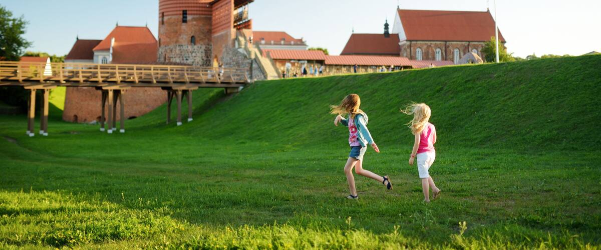 A grassy hill with a castle and a red flag.
