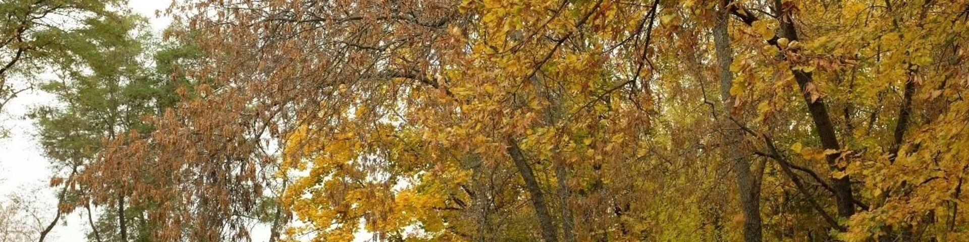 Walking around Kaunas Castle. Place where river Neris is flowing in to river Nemunas.